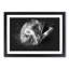 Koala Bear Resting in a Tree - Framed Print-56842235-56842239