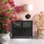Vitrino Accent Cabinet