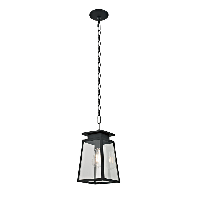 Lanterne suspendue d'extérieur à 1 ampoule H 11,35 po Acuff, Noir