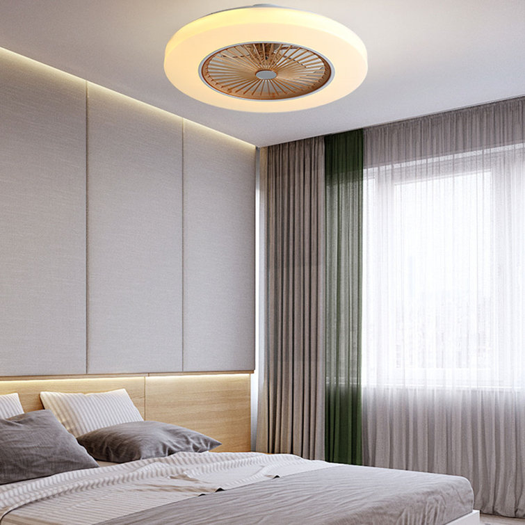 Ailn Ceiling Fan with LED Lights
