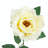 Rose Arrangement