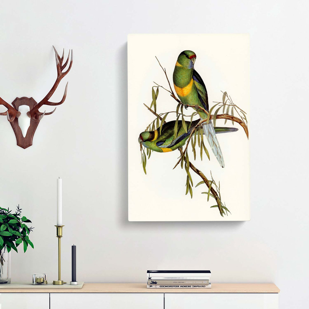 Barnards Parakeets by Elizabeth Gould - Wrapped Canvas