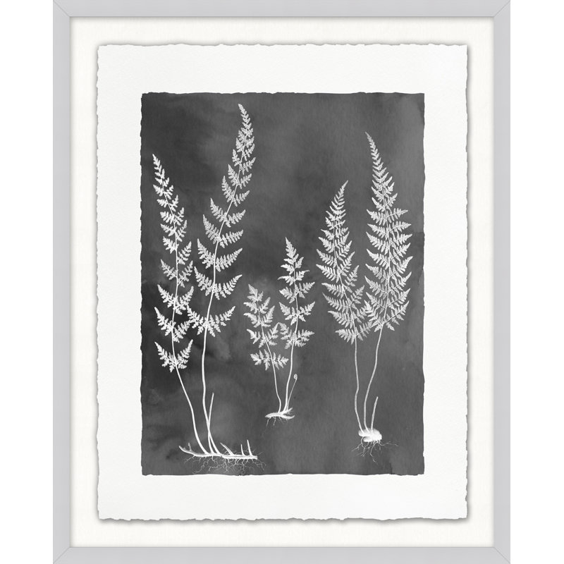 Fernspiration Gray 11' Framed Graphic Art Print on Glass