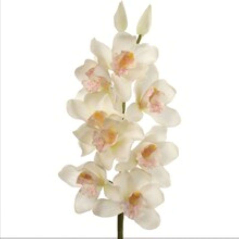 30" Cymbidium Orchid Stem - 3 Pack