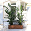 Handmade Wood Planter Box-906710342-916560982