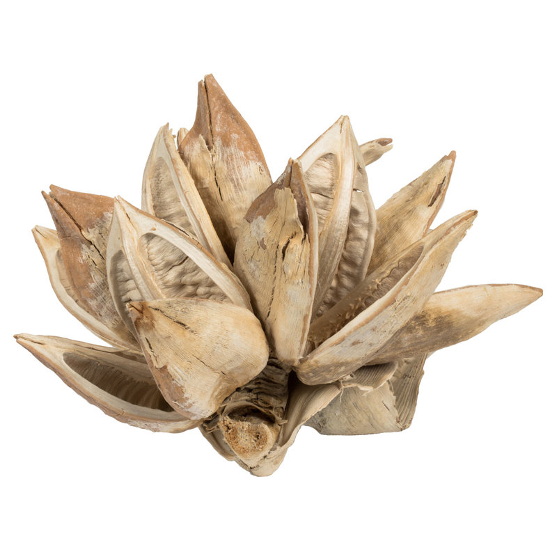 7'' Plant, Gold