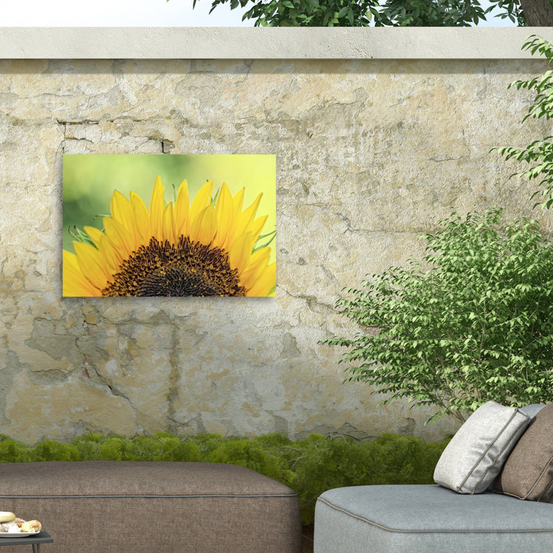 Tournesol boliné 2 sur toile, H 16 po x l 24 po
