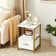 Kempst End Table with Storage