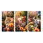 Fluffy Cat Sleeping Sunny Flower Garden I - Animals Cat Art Set Of 3 Pieces-481045497-481045444