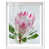 White Frame sélectionné