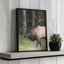 «Cherokee Elk I» par Lori Deiter, reproduction d'art