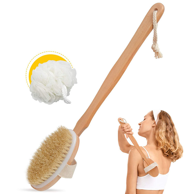 Alexzandyr brosse pour le corps