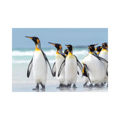 King Penguin, Falkland Islands. by Martin Zwick - Wrapped Canvas Print