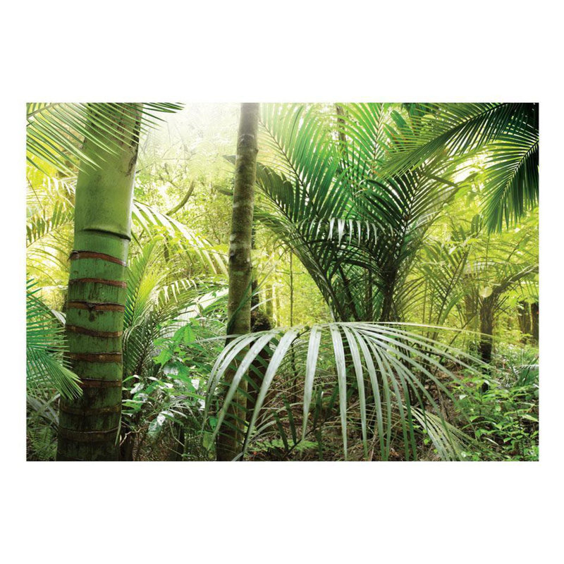 Ahasuerus Wall Mural, 55" L x 78" W