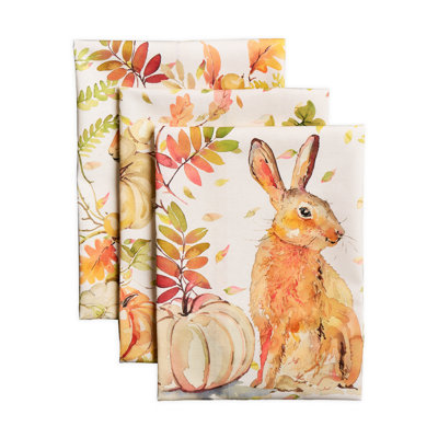 Maison d'Hermine Pumpkin Passion, ensemble de 3 torchons de cuisine 100 % coton - 51 x 70 cm
