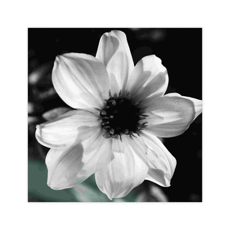 «Pretty Black White Offset 2» - Photographie sur toile tendue, H 30 po x l 30 po