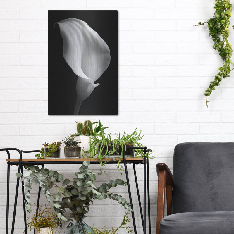 "Lily On Black 02" par Tom Quartermaine, H 16 po x l 12 po