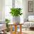 Stoneware Ceramic Planter with Sculpted Textured Form and Rounded Silhouette for Decorative Display and Botanical Arrangement in Indoor or Covered Outdoor Settings-126410033