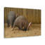 Art mural Aardvark creusant dans le sol-1120736751