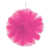 Cerise