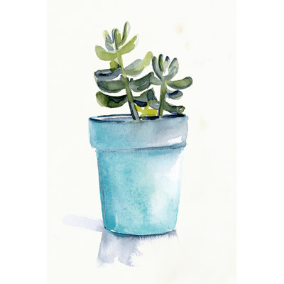 Plante grasse en pot II