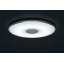 Totnes 1-Light LED Flush Mount