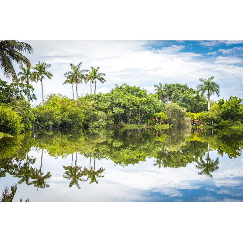 Fairchild Tropical Botanic Garden by Mariakray - Wrapped Canvas Print, 51cm H x 76cm W