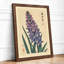 Purple Hyacinth Study Botanical - Framed Print-965061223-965061222