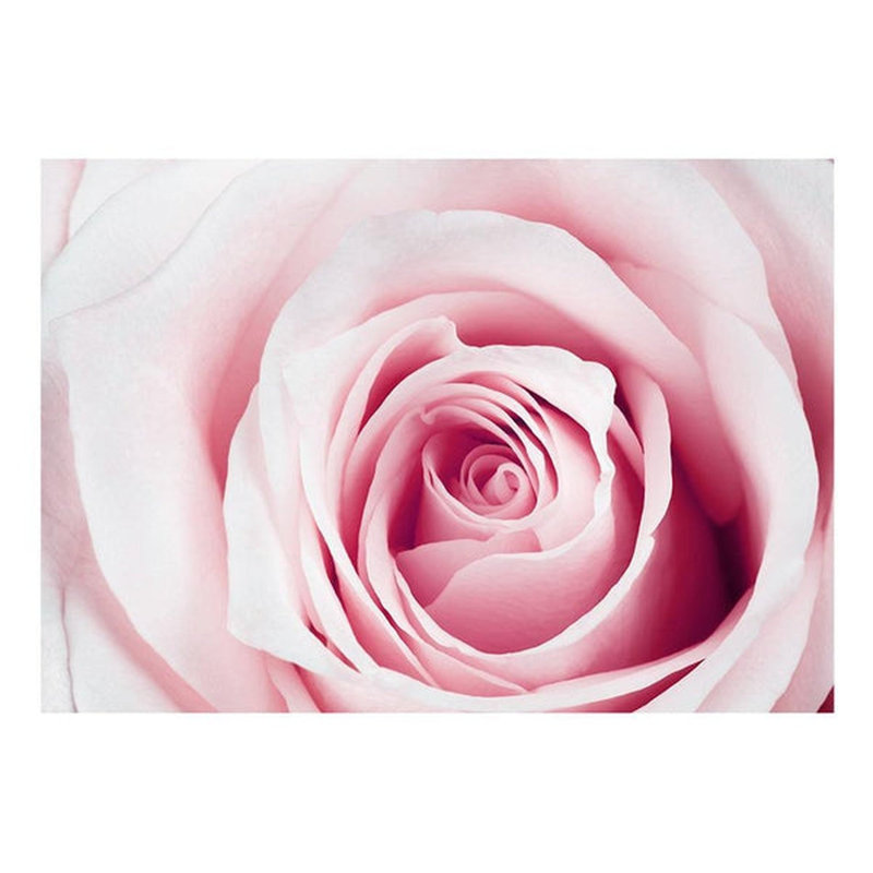 Murale Kadeisha, L 110 po x l 157 po, Rose / blanc