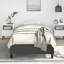 Cadre de lit Darrisha, cadre de lit plateforme tapissier, sans matelas-246308461-246308465