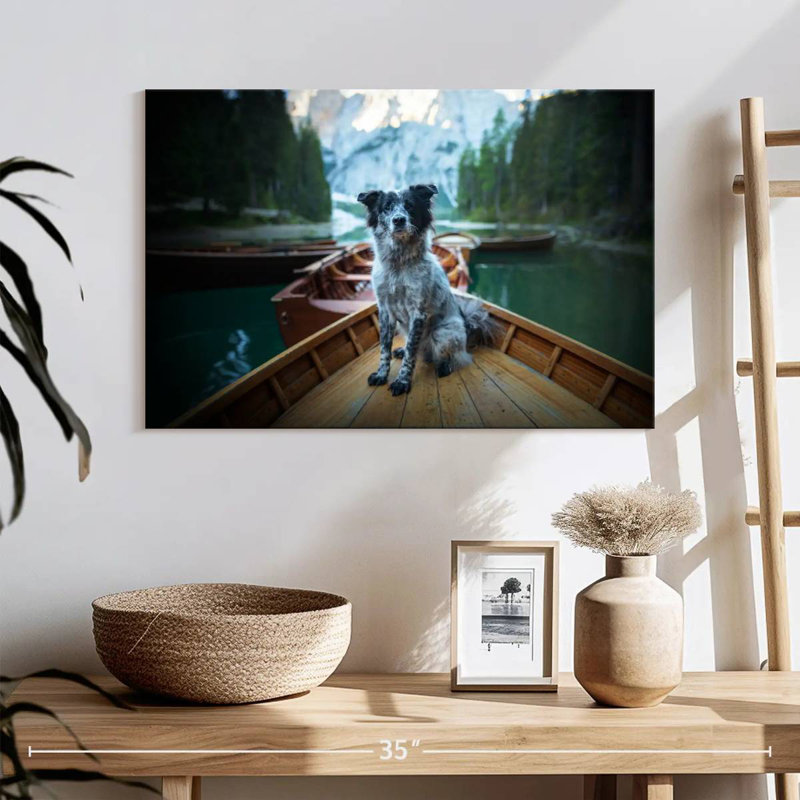 Border collie sur bateau, H 16 po x l 24 po