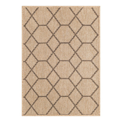 Geometric Indoor Rug