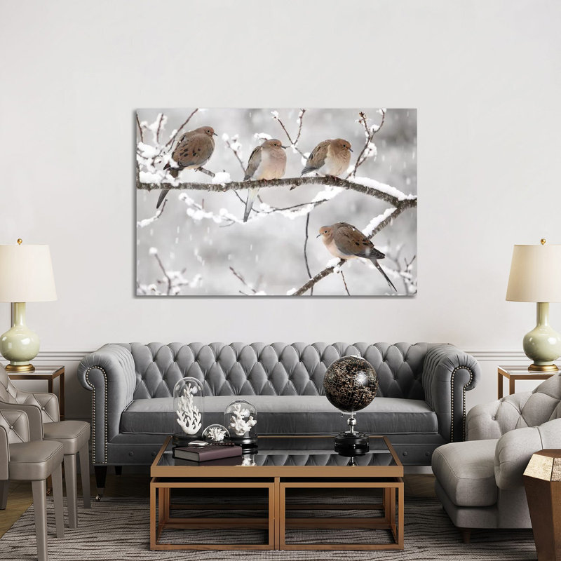 Mourning Dove Group In Winter, Nova Scotia, Canada I by Scott Leslie - Wrapped Canvas Print, 152.5 cm H x 101.5 cm W
