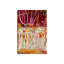 Warmest Wishes Painting by Mari Urasawa-25802050-25802049