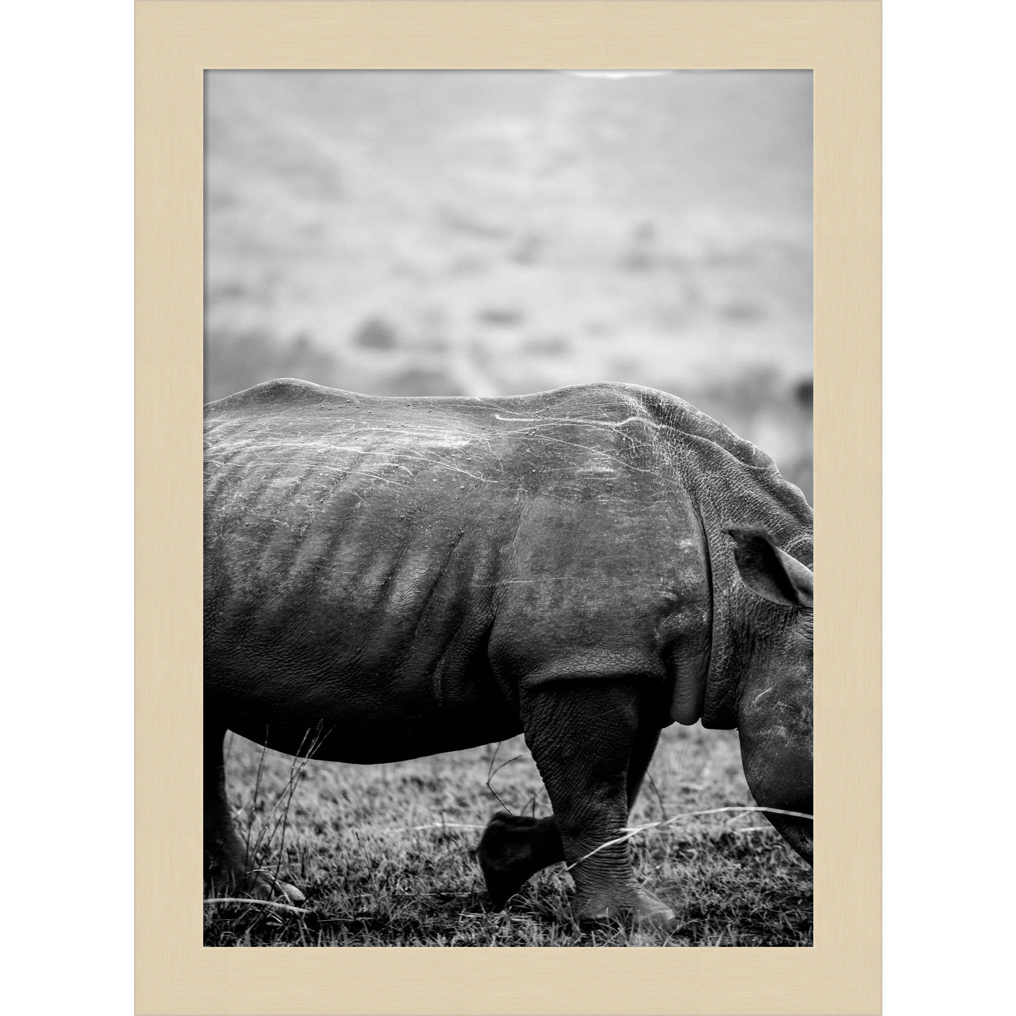 Black Rhino by Shot by Clint Wood Framed Wall Art Print, 13" H x 10" W, Brown