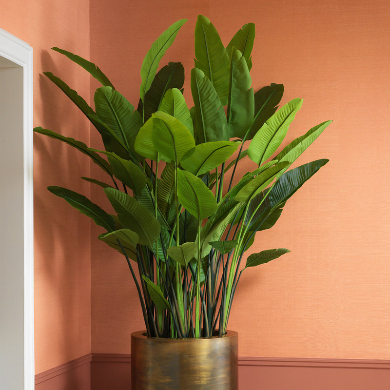Artificial Plant Strelitzia Green, 70.87" x 39.37"