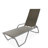 Outdoor Rust-Resistant Metal Chaise Lounge-19510309-48935063