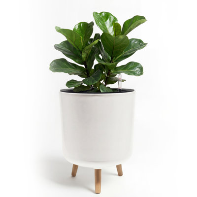 Self‑Watering Plant Pot Water Level Indicator Wooden Stand Plastic White for Indoor Outdoor