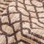 Sophie Geometric Area Rug in Brown/Beige-76791082