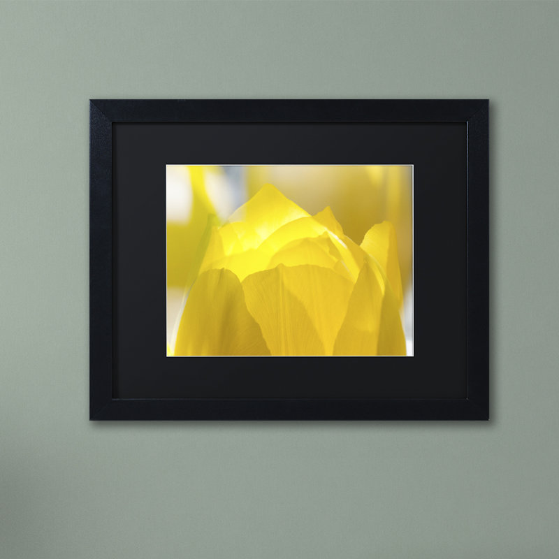 « yellow tulipe » par kurt shaffer, reproduction de photo encadrée, H 11 po x l 14 po x P 0,5 po, Noir