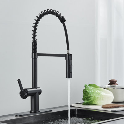 Belfry Kitchen Tanuja Pull Out Kitchen Faucet