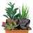 7" Copper Potted Artificial Mixed Succulent Arrangement