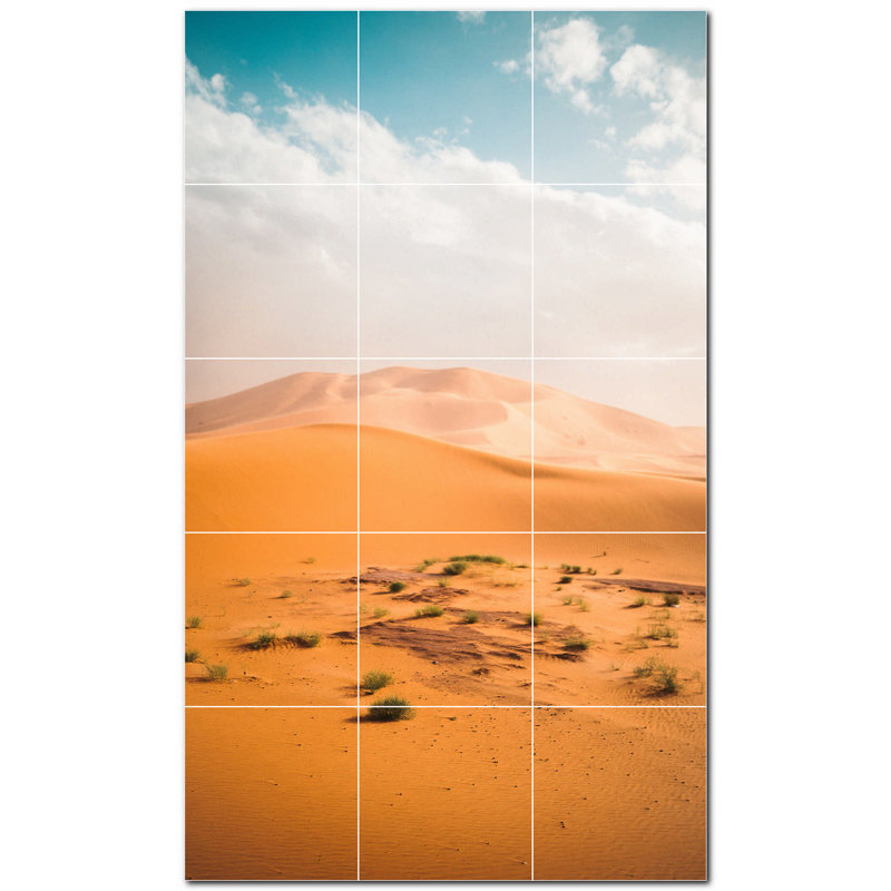 Murale décorative en céramique satinée 12 po x 12 po Desert Photo