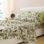 Ensemble de draps Hotel 5ème Ave Bellagio-106962087-106962082