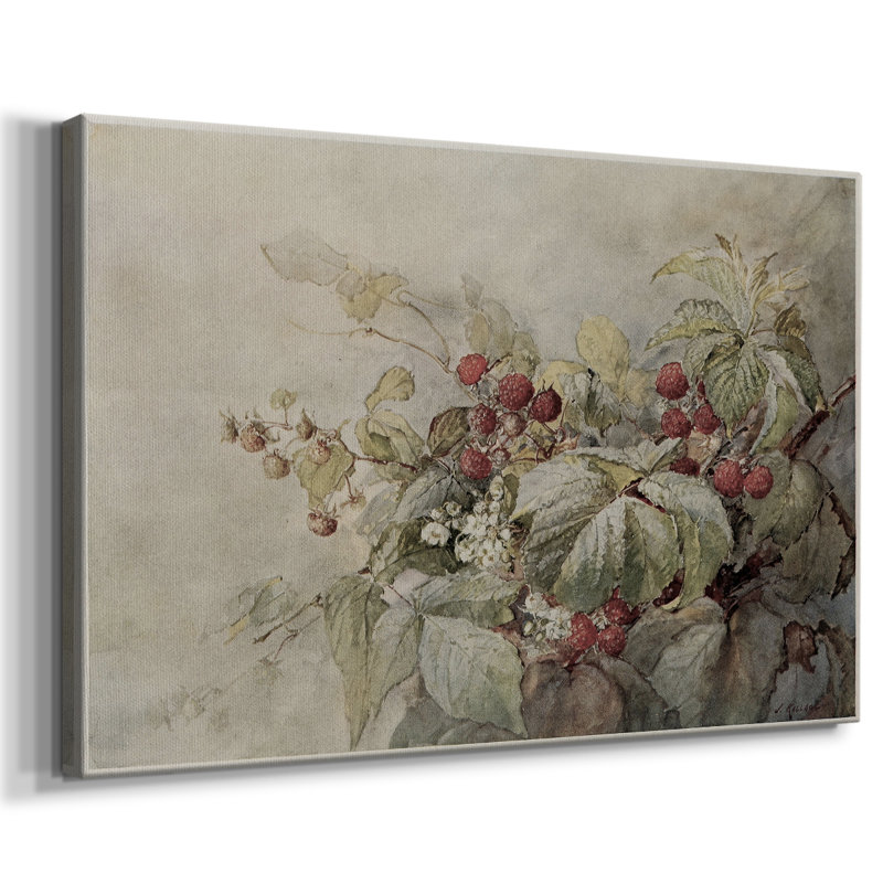 Motif floral rétro-Lxxiv-Cavas, 24 x 36