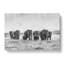 Herd Of Elephants Roaming - Wrapped Canvas-56629766