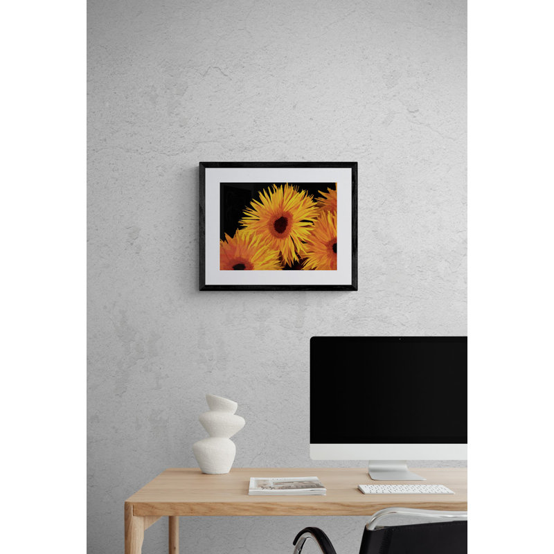 " Gerberas " by Tom Kostes