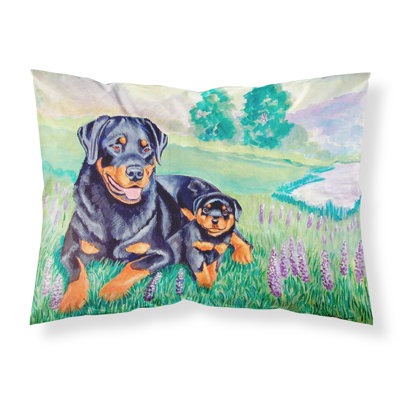 Microfiber