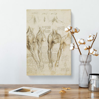 Human Anatomy Vol.8 by Leonardo Da Vinci - Wrapped Canvas