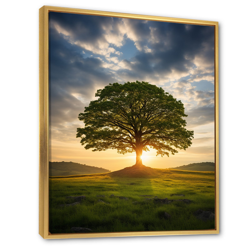 «Summer Solitude Tree Glow» sur toile, H 40 po x l 30 po x P 1,5 po, Cadre flottant doré